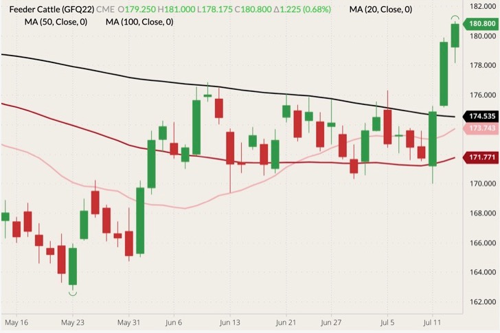 CME August 2022 feeder cattle (candlesticks) with 20-, 50- and 100-day moving averages (pink, red and black lines). (Barchart)
