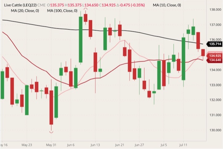 CME August 2022 live cattle (candlesticks) with 10-, 20- and 100-day moving averages (pink, dark red and black lines). (Barchart)
