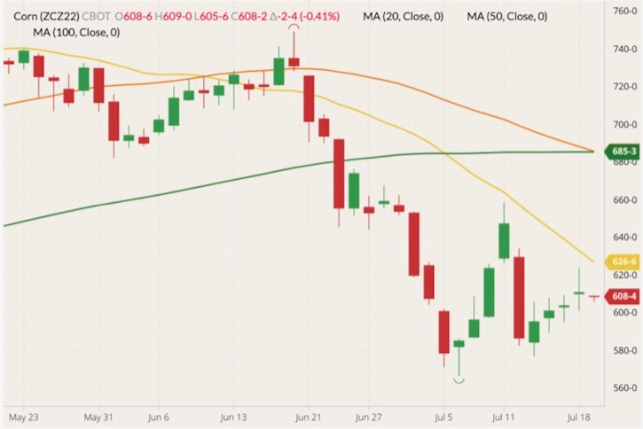 CBOT December 2022 corn (candlesticks) with 20-, 50- and 100-day moving averages (yellow, orange and green lines). (Barchart)
