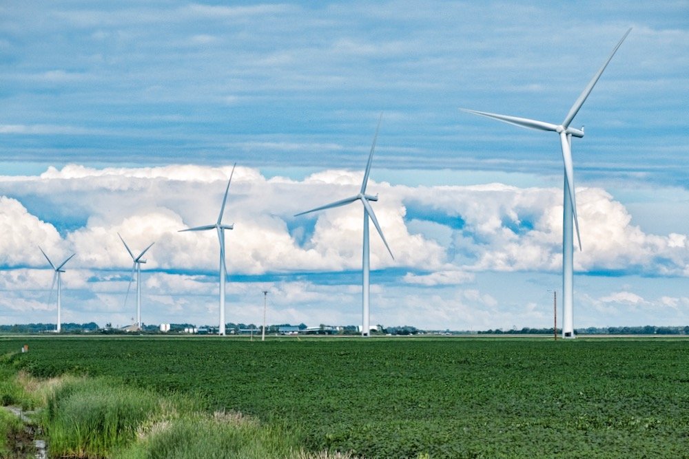 File photo of a field of soybeans under turbines at southern Manitoba’s St. Joseph wind farm. (Dougall_Photography/iStock/Getty Images)
