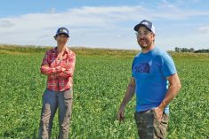 FaRM program cover crop group facilitators Karen Klassen and Scott Beaton during a tour of Klassen’s farm on July 11.