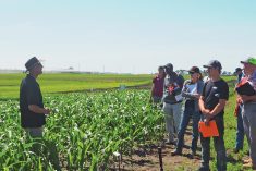 John Heard discusses methods to reduce nitrous oxide emissions through nitrogen management.