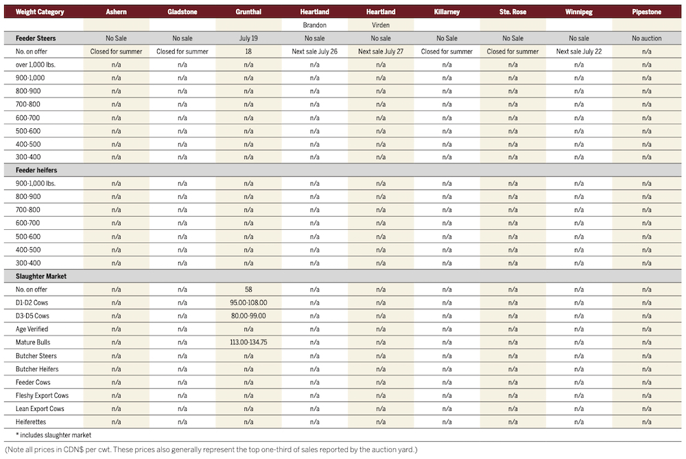 Few cattle come to auction, but in good shape