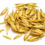 Oat crops topped out at 81 per cent good to excellent in Alberta.  Photo: iStock
