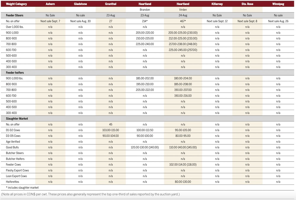 Prices strong going into fall months