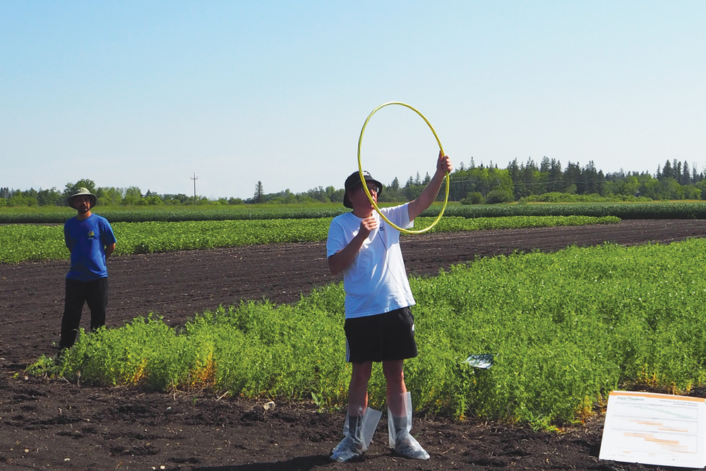 Terry Buss of Manitoba Agriculture talks about the importance of plant counts at the Prairies East Sustainable Agriculture Initiative (PESAI) Crop Diversification Centre field day July 26.