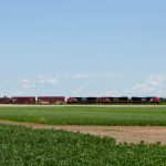 CN releases 2022-23 grain plan