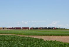 CN releases 2022-23 grain plan