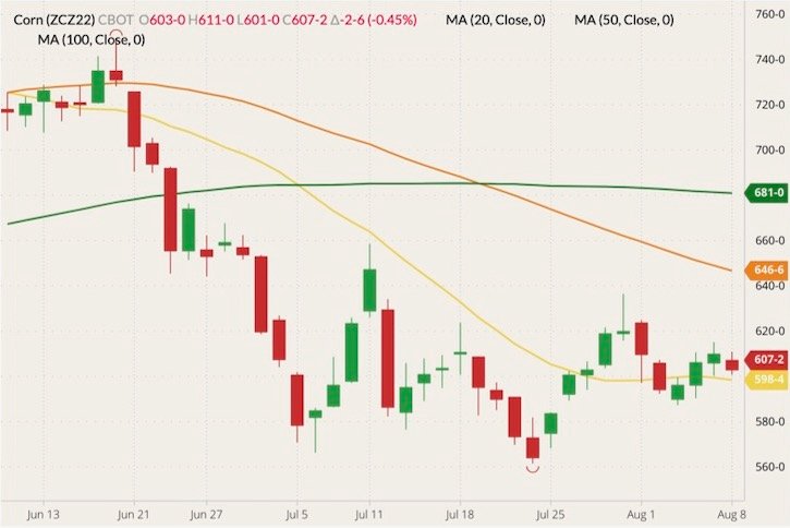CBOT December 2022 corn (candlesticks) with 20-, 50- and 100-day moving averages (yellow, orange and green lines). (Barchart)
