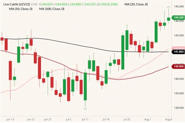 CME October 2022 live cattle (candlesticks) with 20-, 50- and 100-day moving averages (pink, red and black lines). (Barchart)
