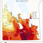 Soybean development moving ‘very quickly,’ insect pressures rise on thin pesticide supply