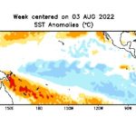 Weekly-average Pacific Ocean surface temperature anomalies for the week centred on Aug. 3, 2022, in degrees Celsius. (CPC.ncep.noaa.gov)
