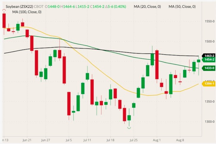CBOT November 2022 soybeans (candlesticks) with 20-, 50- and 100-day moving averages (yellow, green and black lines). (Barchart)

