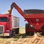 Seasonal pressure is easing somewhat on wheat values, as the U.S. winter wheat harvest nears completion.