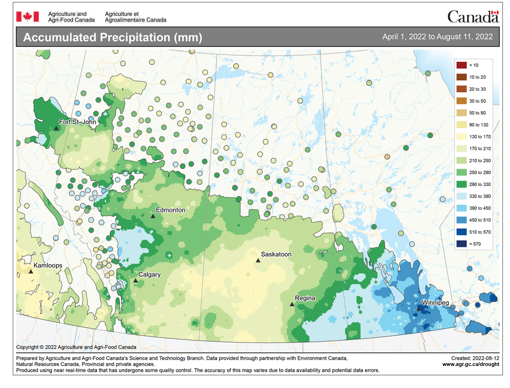 This map shows the total amount of precipitation that fell across the Prairies so far this growing season (April 1 to Aug. 11). You can see how wet southern Manitoba has been, with most areas receiving more than 330 millimetres and some topping 500 mm. Central and western Saskatchewan have been dry, with most regions seeing less than 200 mm. In Alberta it has been a mixed bag, with some regions fairly dry (southeast) while others were fairly wet (west-central regions).