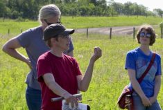 VIDEO: What does a healthy pasture look like?
