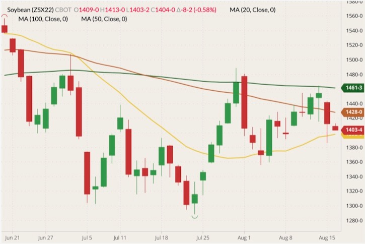CBOT November 2022 soybeans (candlesticks) with 20-, 50- and 100-day moving averages (yellow, brown and dark green lines). (Barchart)
