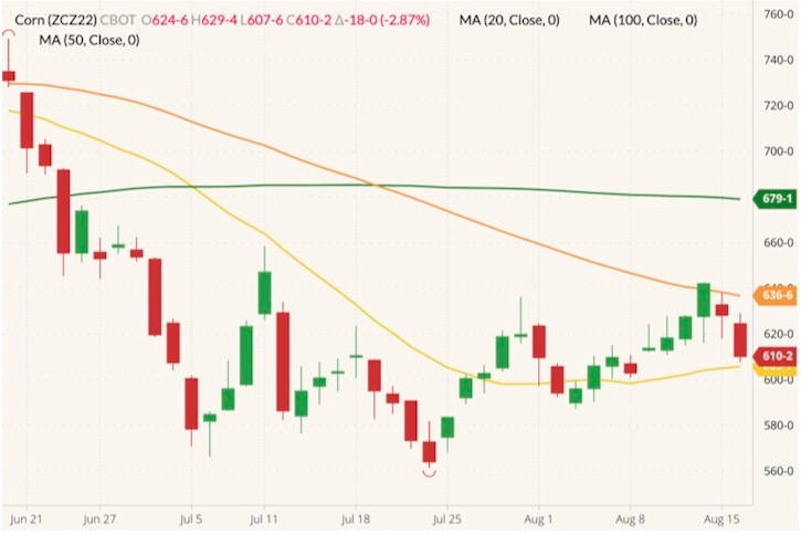 CBOT December 2022 corn (candlesticks) with 20-, 50- and 100-day moving averages (yellow, orange and green lines). (Barchart)
