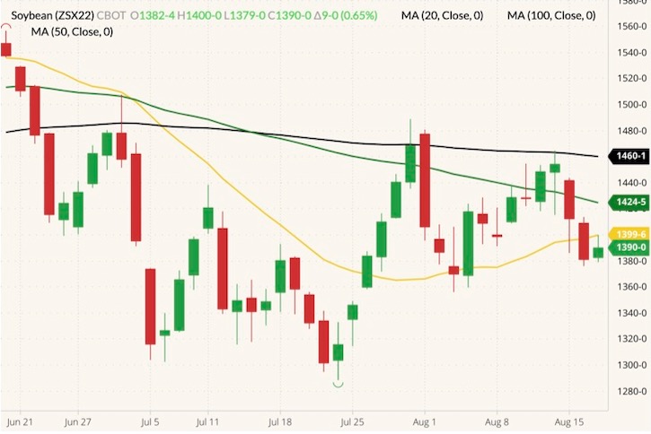 CBOT November 2022 soybeans (candlesticks) with 20-, 50- and 100-day moving averages (yellow, green and black lines). (Barchart)
