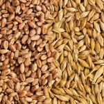 (Photo courtesy Canada Beef Inc.)
