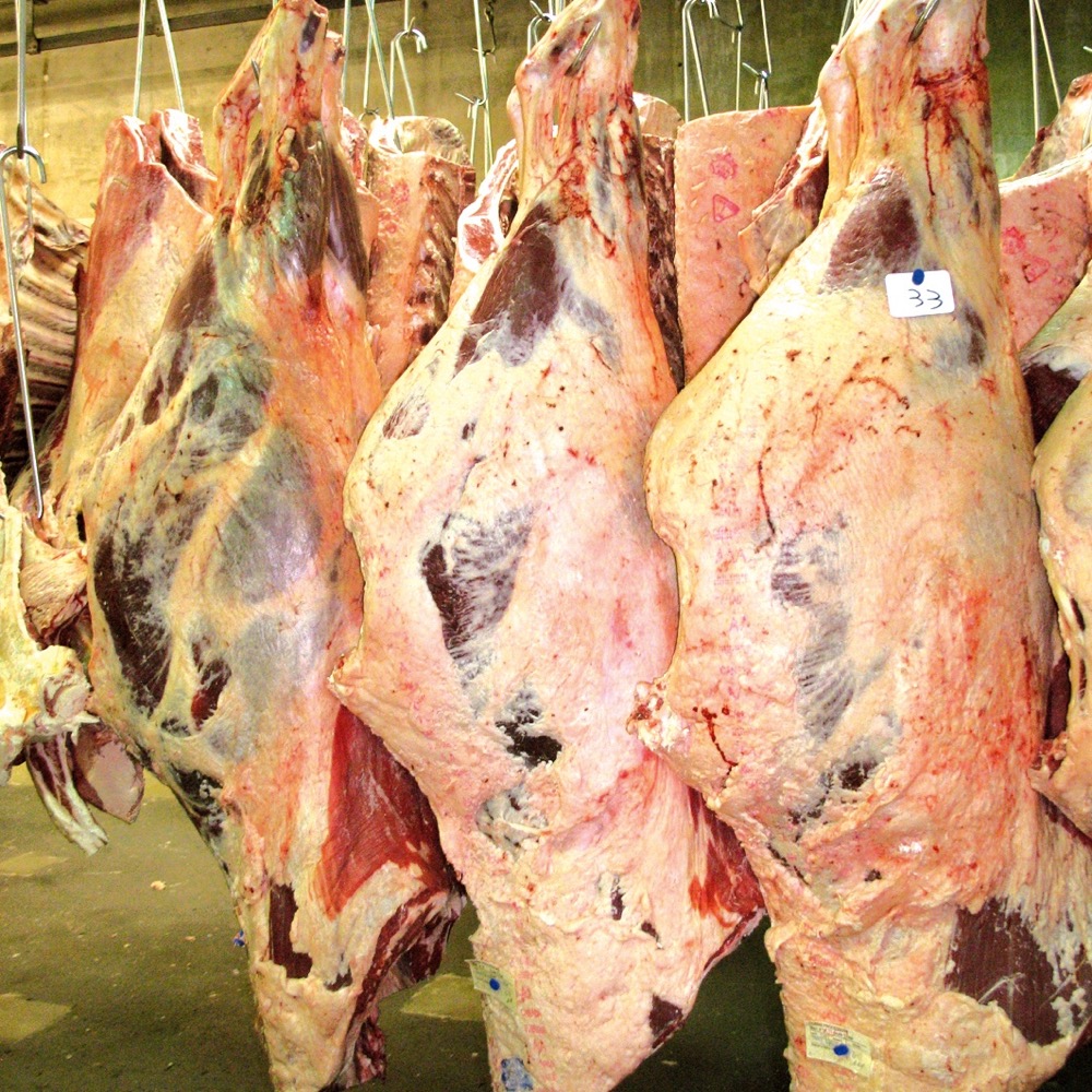 Consumers can expect higher beef prices into 2023 and 2024, market watchers say.