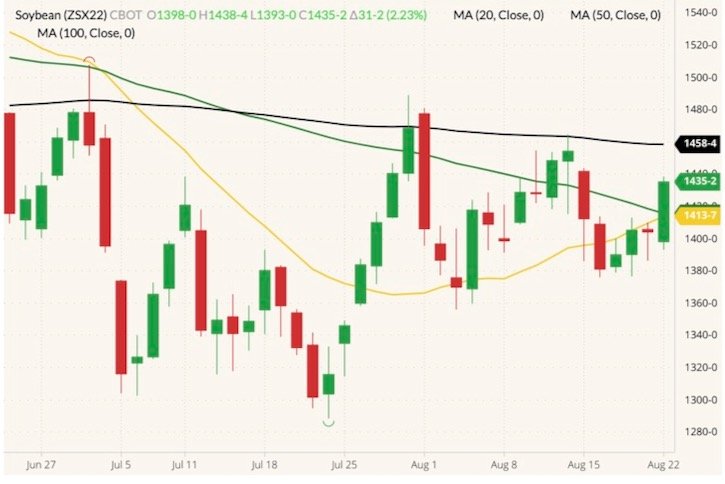 CBOT November 2022 soybeans (candlesticks) with 20-, 50- and 100-day moving averages (yellow, green and black lines). (Barchart)
