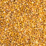 Photo: MaksymTopchyi/iStock/Getty Images
