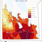 Wheat crops in good shape, canola staging varies across Manitoba