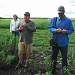 Jeff Kostuik (centre) extolls the virtues of a new faba bean variety.
