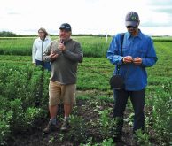 Jeff Kostuik (centre) extolls the virtues of a new faba bean variety.