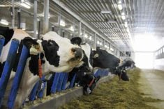 DFM says extraordinary cost increases justified a nearly 11 per cent increase in milk prices.