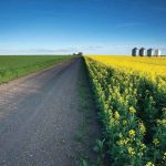 Delays in spring seeding on the eastern Prairies put this year’s canola crop behind the usual pace, making fall frost more of a concern.