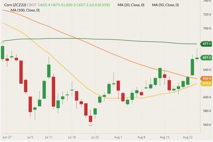 CBOT December 2022 corn (candlesticks) with 20-, 50- and 100-day moving averages (yellow, orange and green lines). (Barchart)
