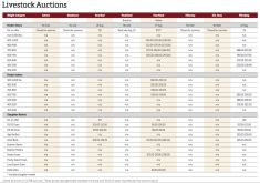 High prices continue as fall run approaches
