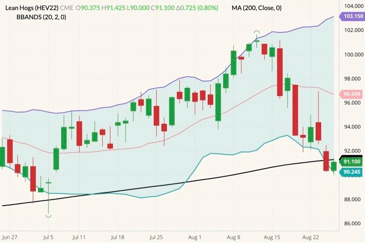 CME October 2022 lean hogs (candlesticks) with 200-day moving average (black line) and Bollinger bands (20,2). (Barchart)
