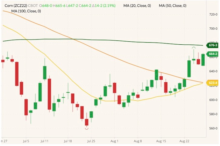 CBOT December 2022 corn (candlesticks) with 20-, 50- and 100-day moving averages (yellow, orange and dark green lines). (Barchart)
