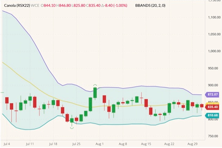 ICE Futures November 2022 canola (candlesticks) with Bollinger bands (20,2). (Barchart)
