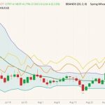 CBOT December 2022 wheat (candlesticks) with Bollinger bands (20,2), MGEX December 2022 spring wheat (yellow line) and K.C. December 2022 hard red wheat (orange line). (Barchart)
