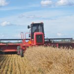 Weather forecasts and models suggest farmers will catch up after a slow start to the season.