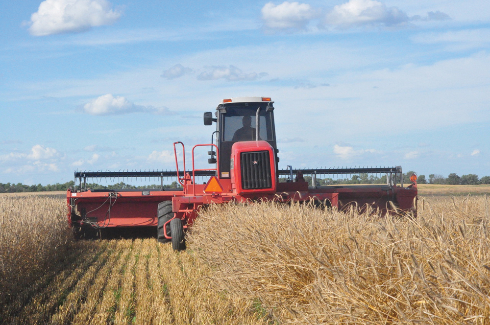 Weather forecasts and models suggest farmers will catch up after a slow start to the season.
