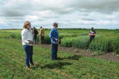 Manitoba Agriculture Forage and Livestock specialist Elizabeth Nernberg speaks on test plots of various annual forages.