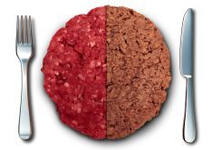 Vegan Burger And Meat Burger