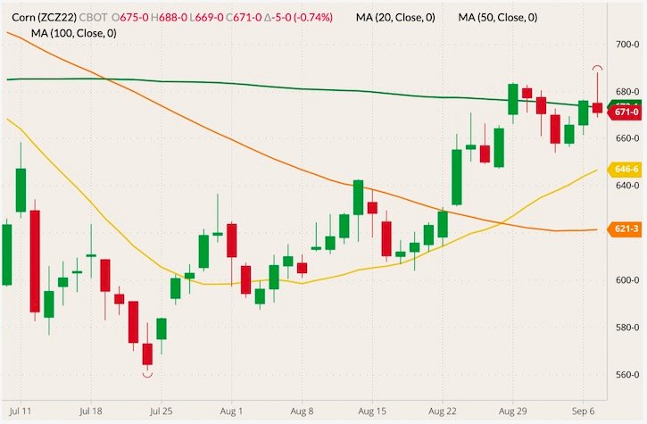 CBOT December 2022 corn (candlesticks) with 20-, 50- and 100-day moving averages (yellow, orange and dark green lines). (Barchart)
