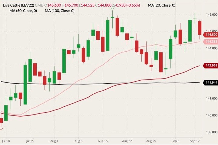 CME October 2022 live cattle (candlesticks) with 20-, 50- and 100-day moving averages (pink, dark red and black lines). (Barchart)
