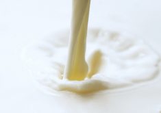 Unlike synthetic meat, which can struggle to match the complexity and texture of animal meat, synthetic milk is touted as having the same taste, look and feel as normal dairy milk.
