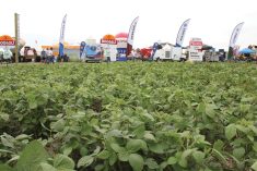 (File photo by Lisa Guenther) 
