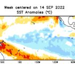 Pacific Ocean sea surface temperature anomalies (in degrees Celsius) for the week centred on Sept. 14, 2022. (CPC.ncep.noaa.gov)