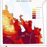 Rain stalls harvest progress, canola harvest struggles to accelerate