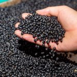 File photo of black beans. (Nhattienphoto/iStock/Getty Images)
