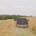 A 20 million-tonne canola harvest is unlikely now, but a figure below 18 million tonnes is also unlikely.